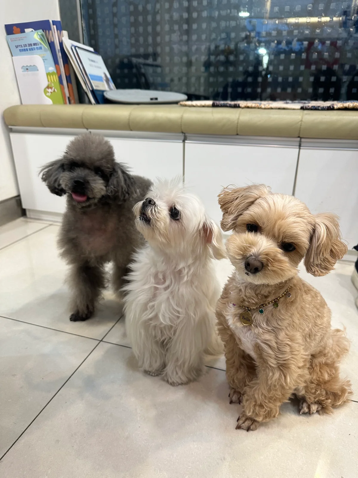 리뷰 사진 1