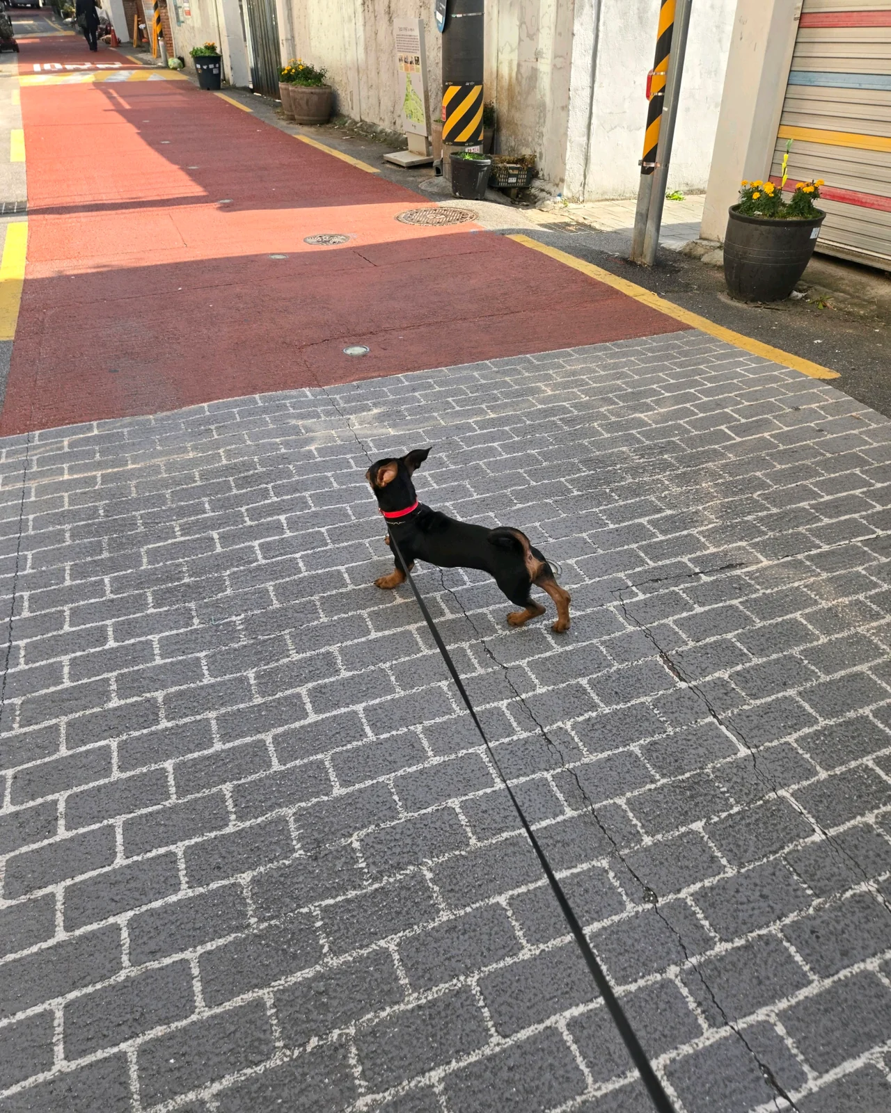 리뷰 사진 1