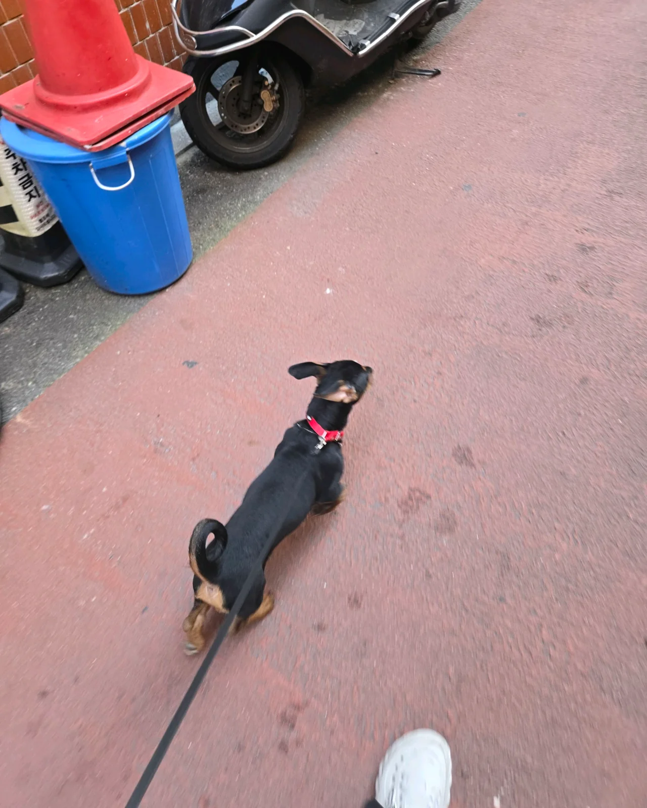 리뷰 사진 2