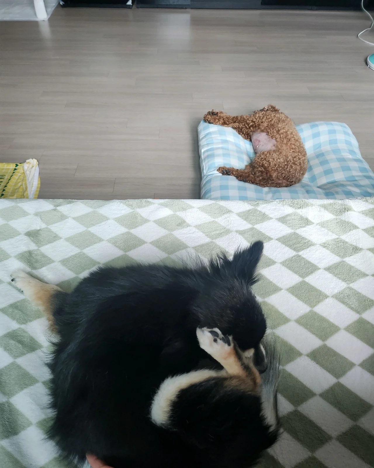 리뷰 사진 1