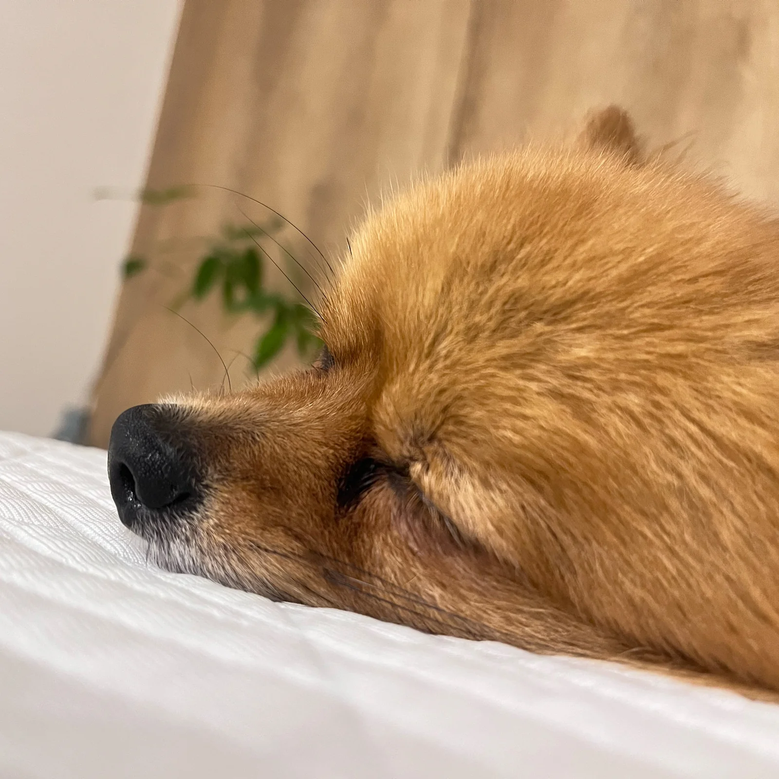 리뷰 사진 1