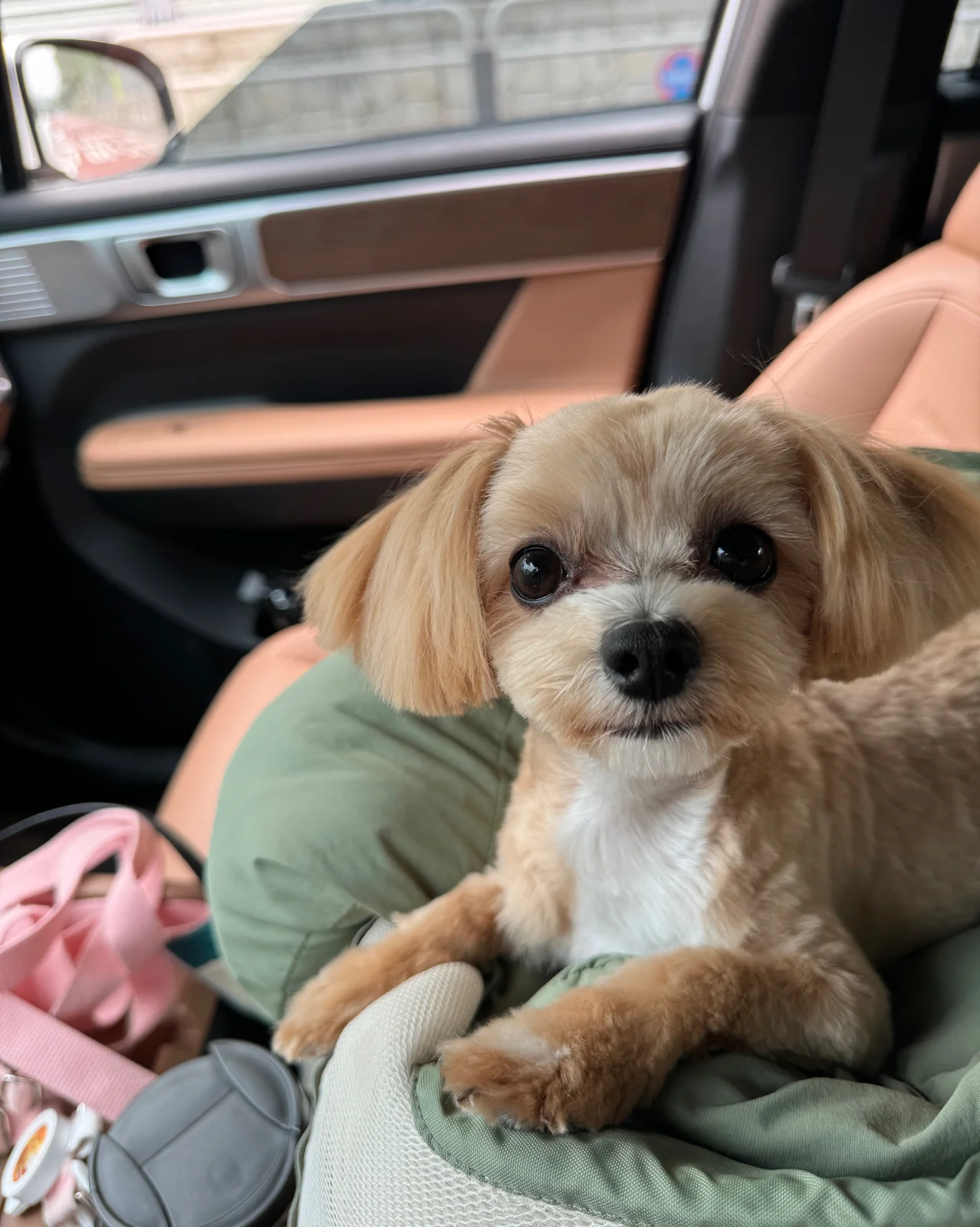리뷰 사진 2