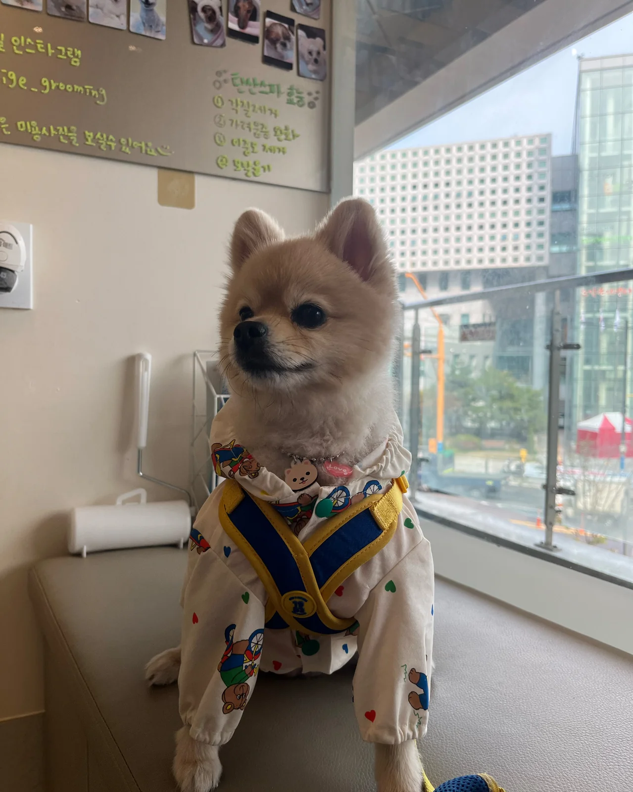 리뷰 사진 1
