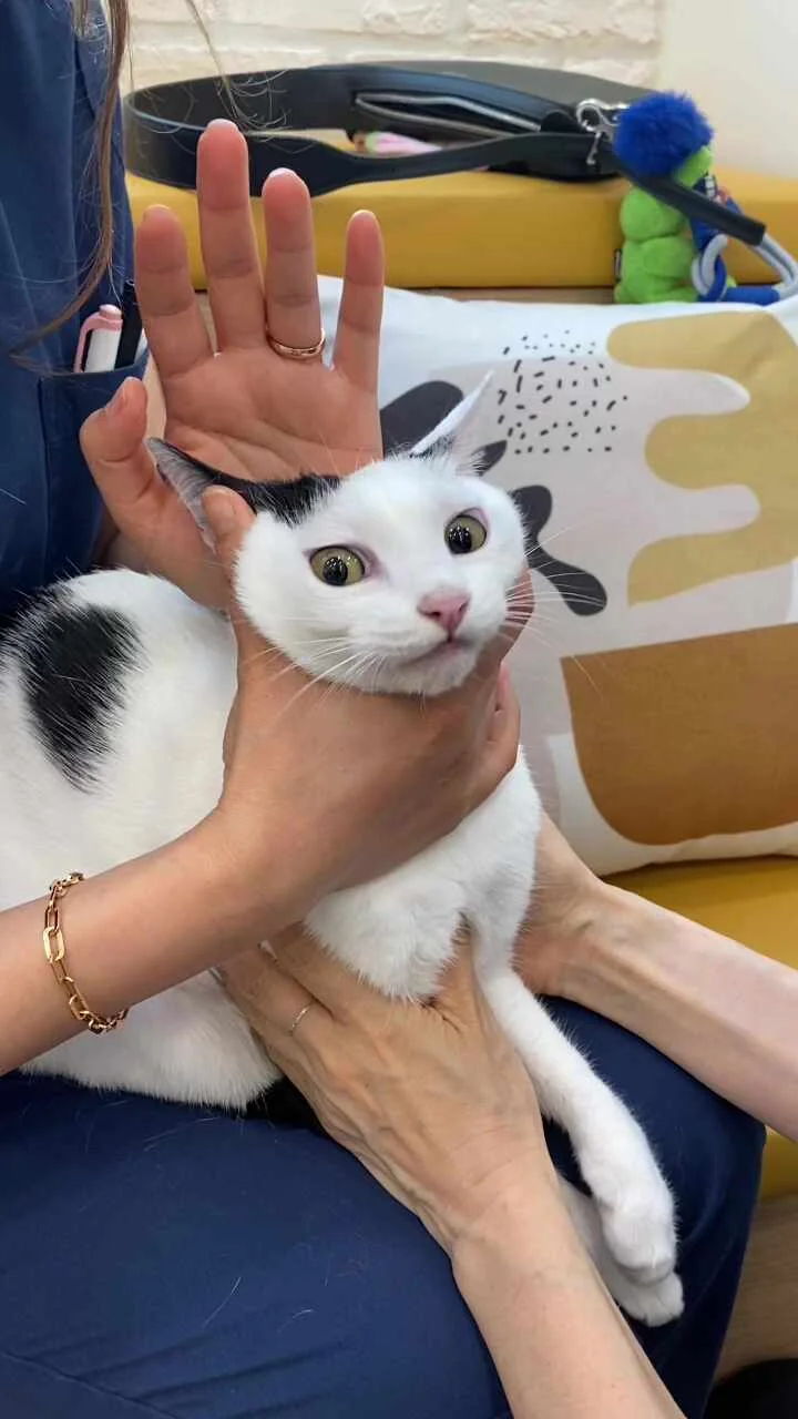 리뷰 사진 3