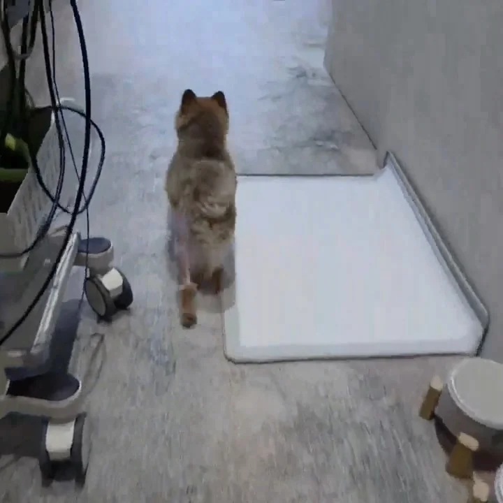 리뷰 사진 1