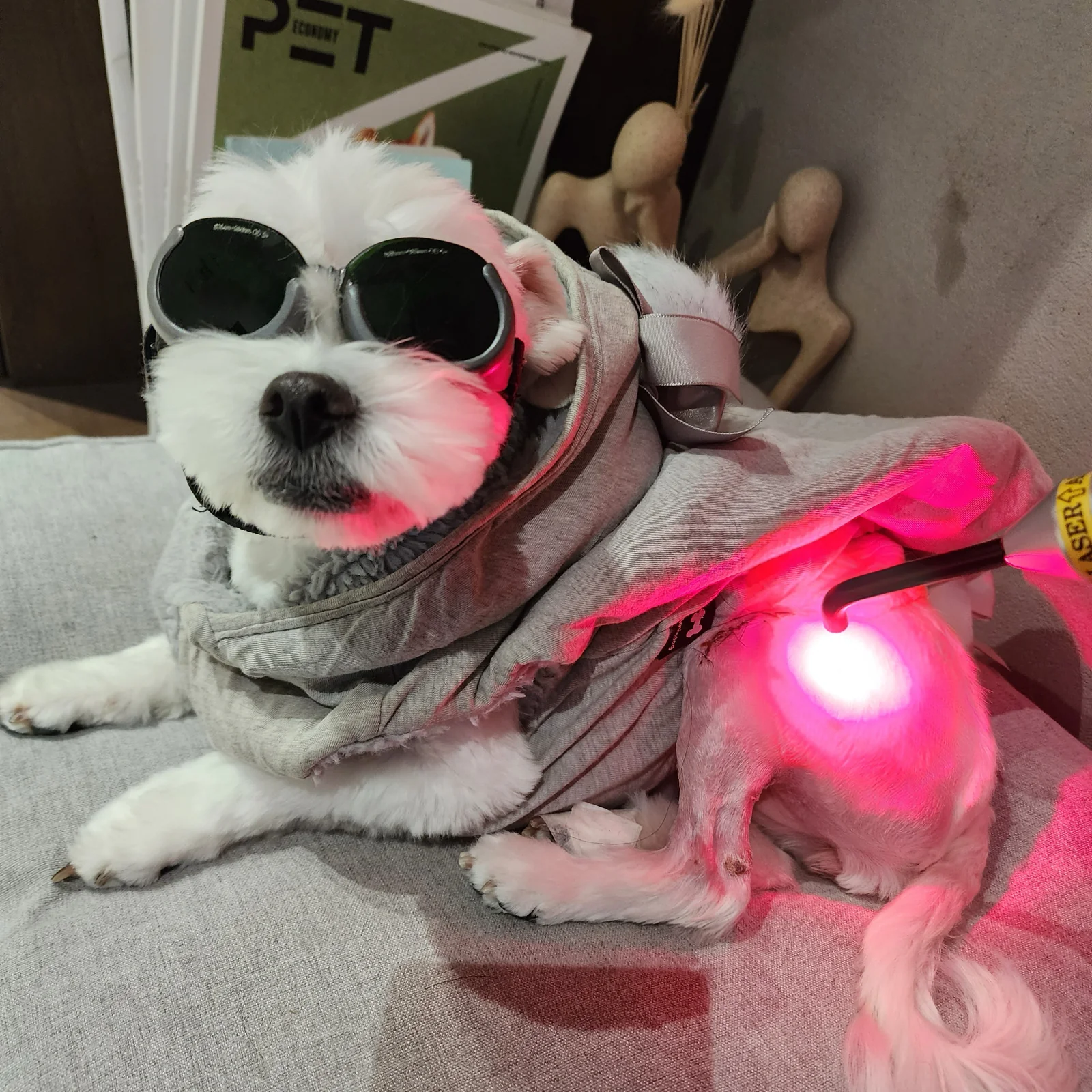 리뷰 사진 1