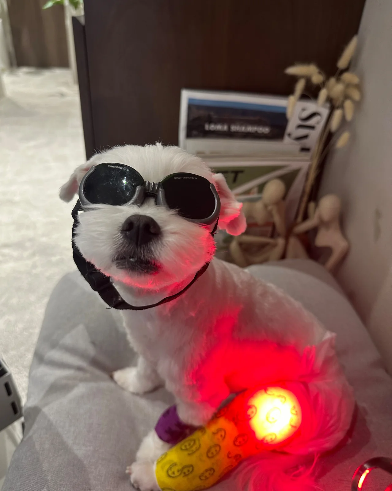 리뷰 사진 3