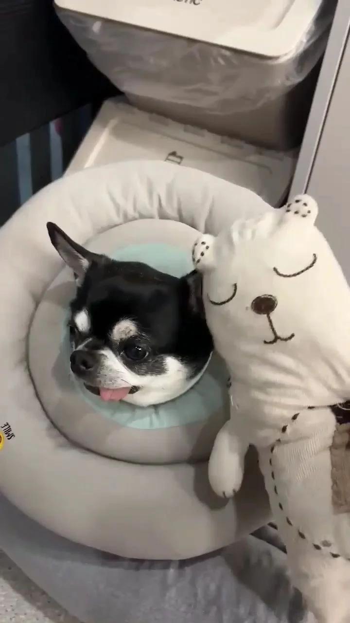리뷰 사진 3