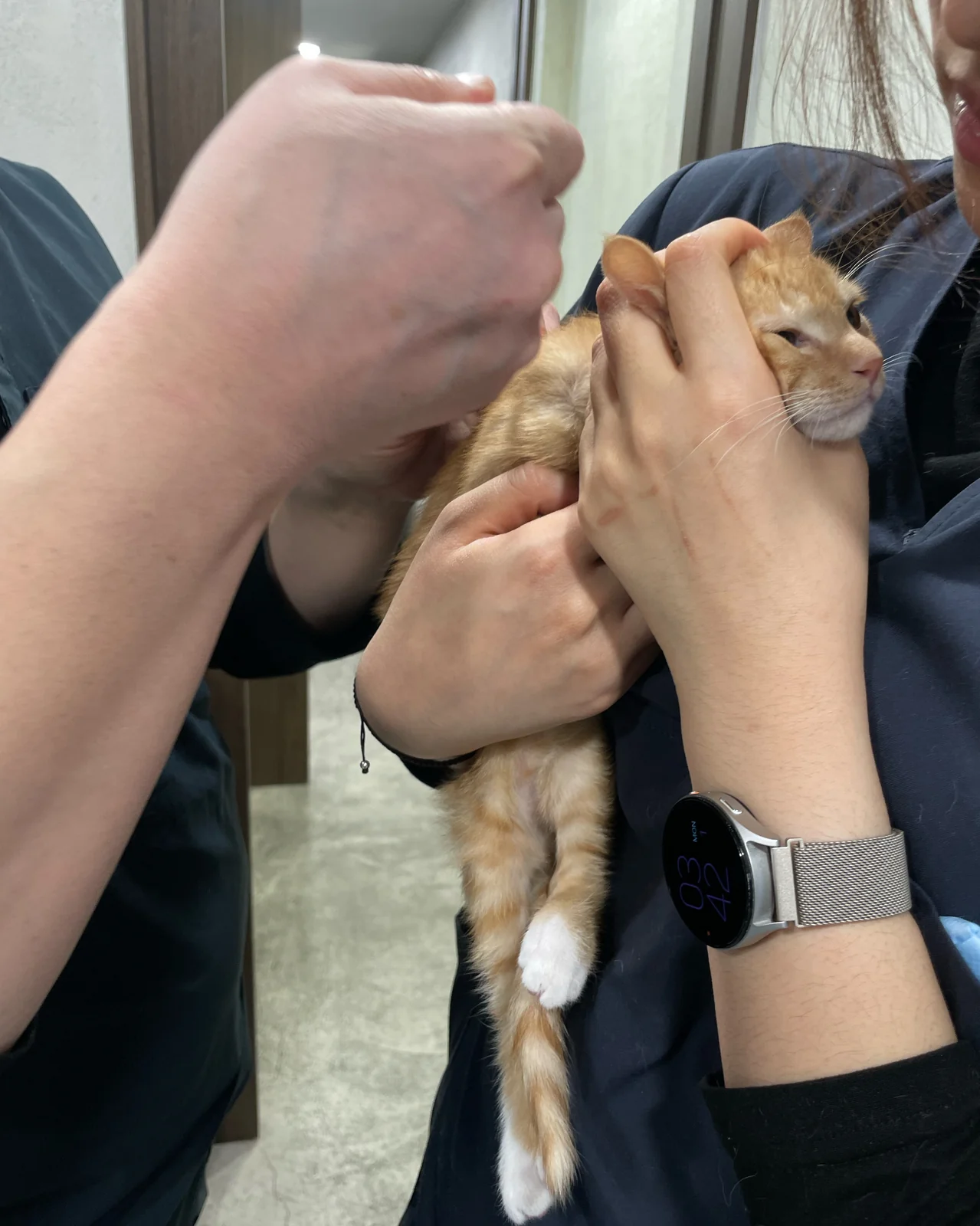 리뷰 사진 1