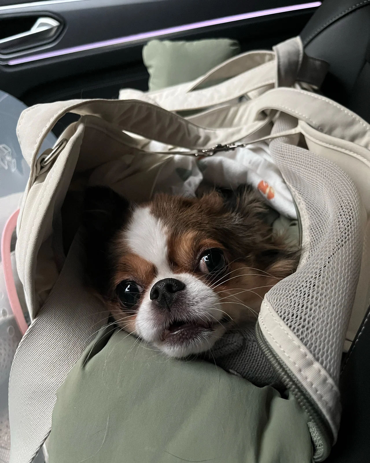 리뷰 사진 1