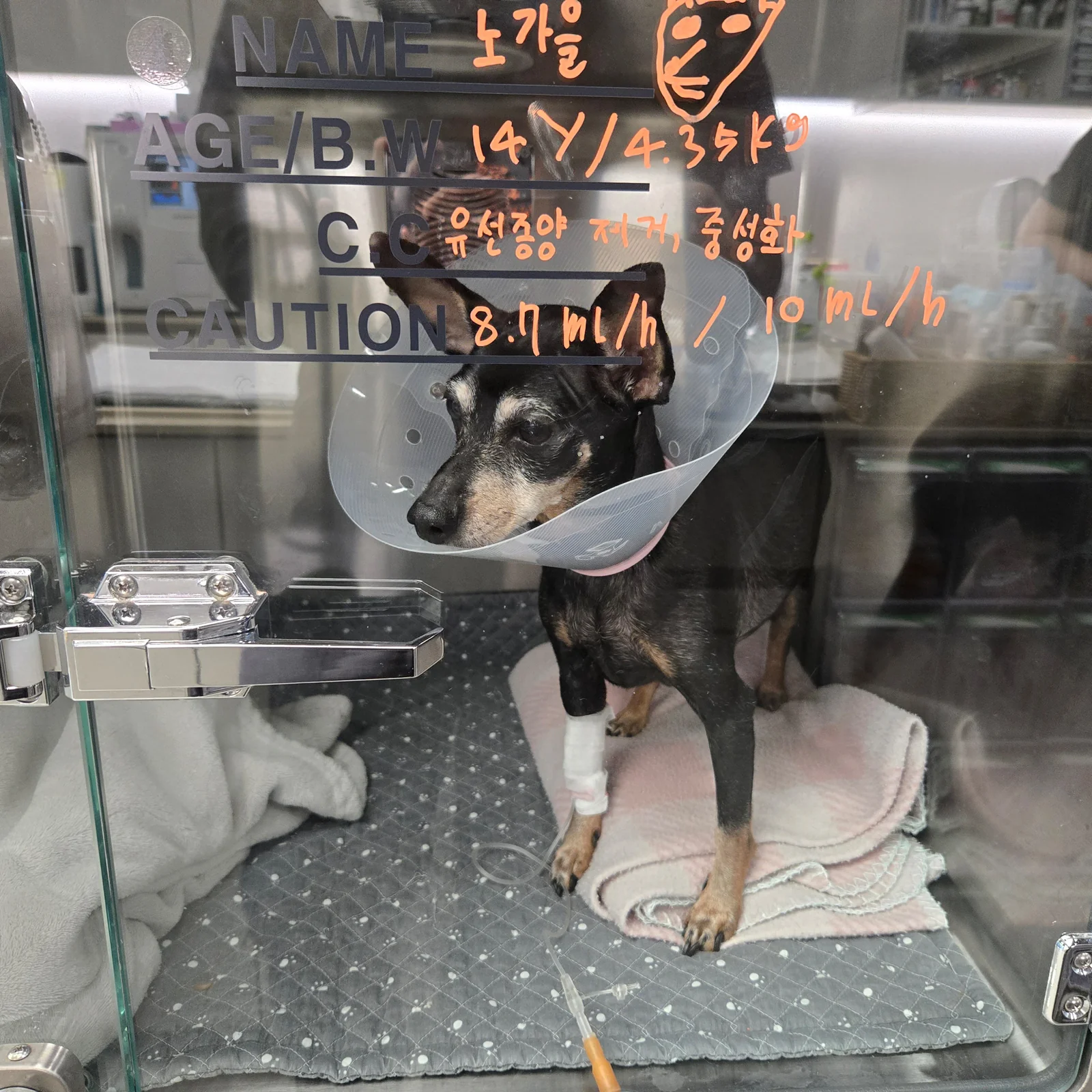 리뷰 사진 2