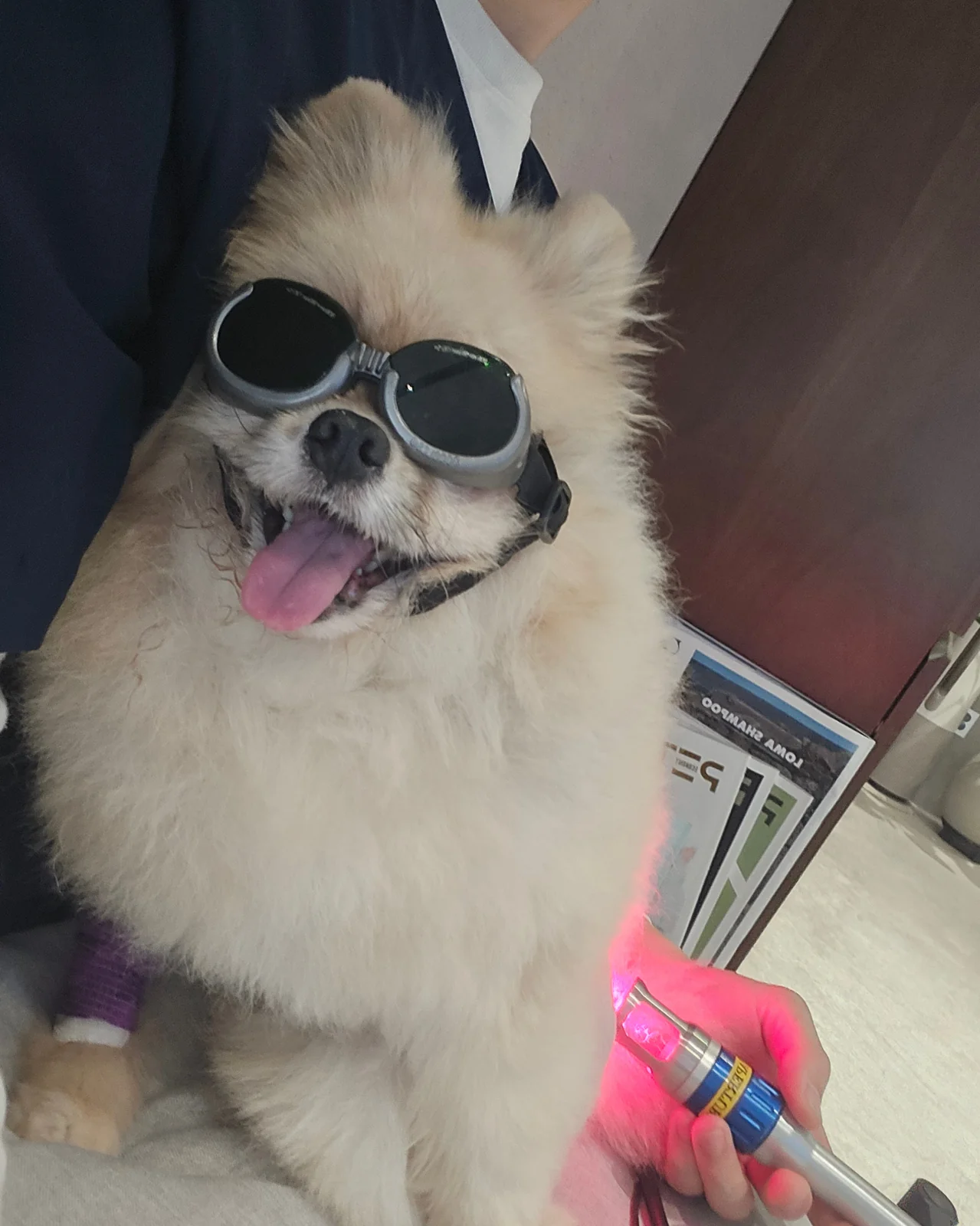 리뷰 사진 1