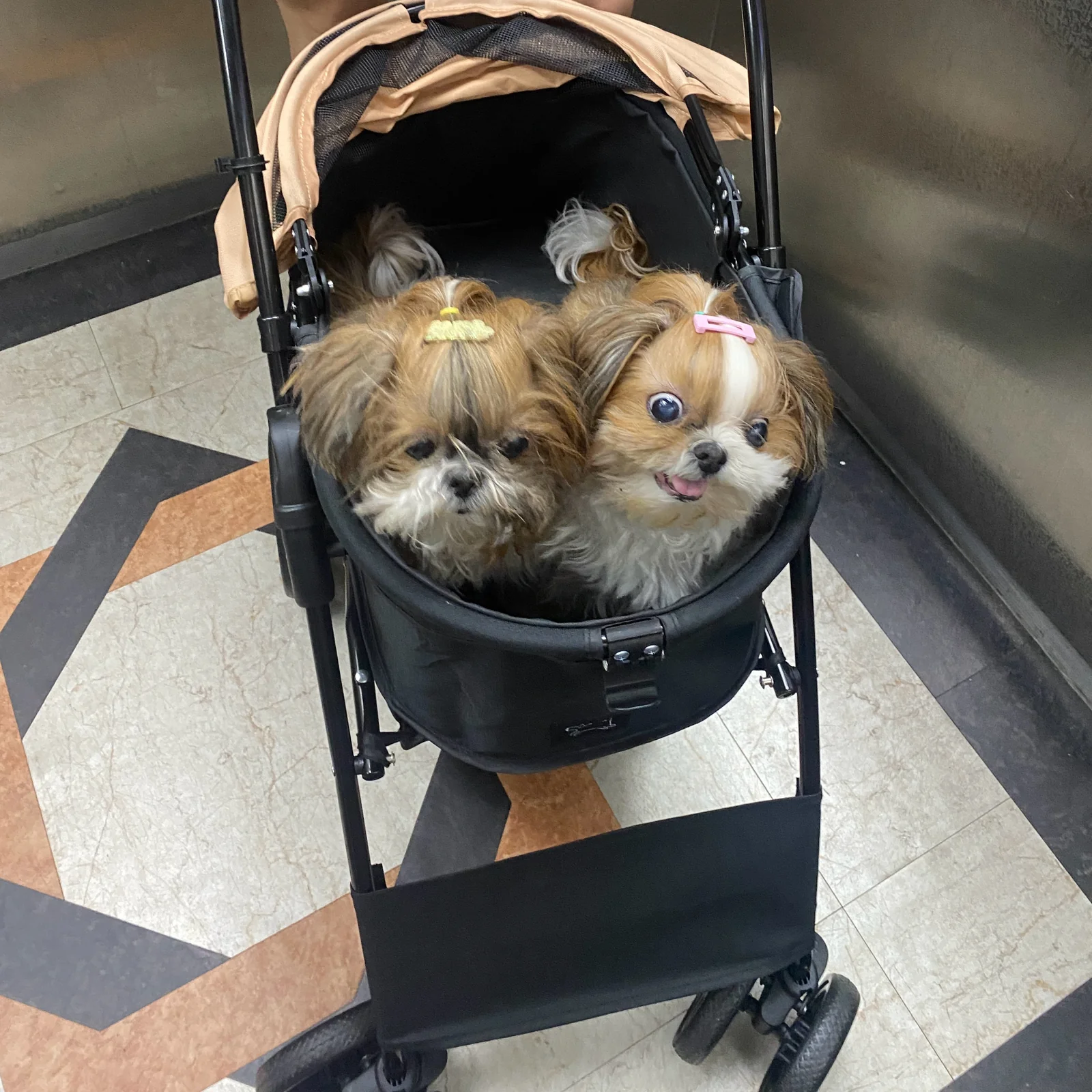 리뷰 사진 2