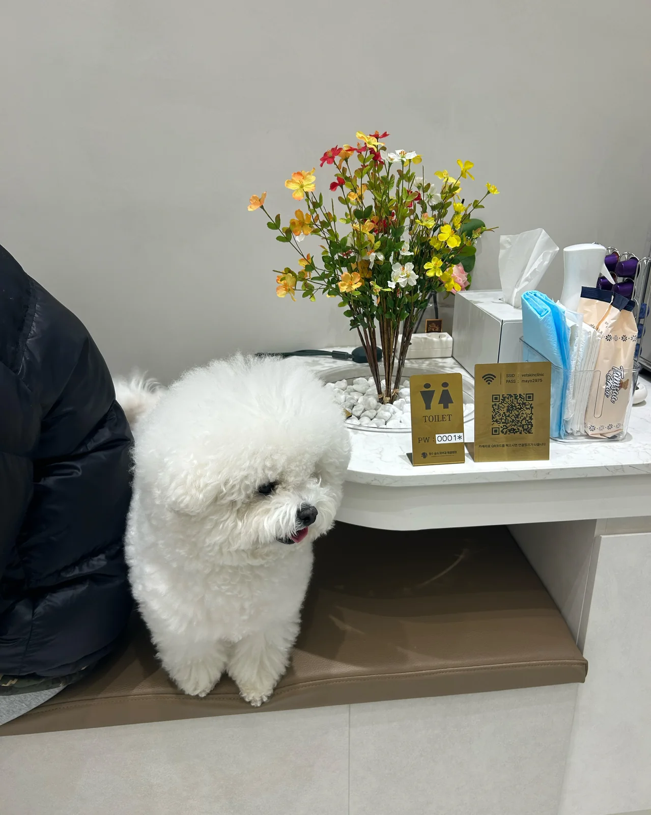 리뷰 사진 2