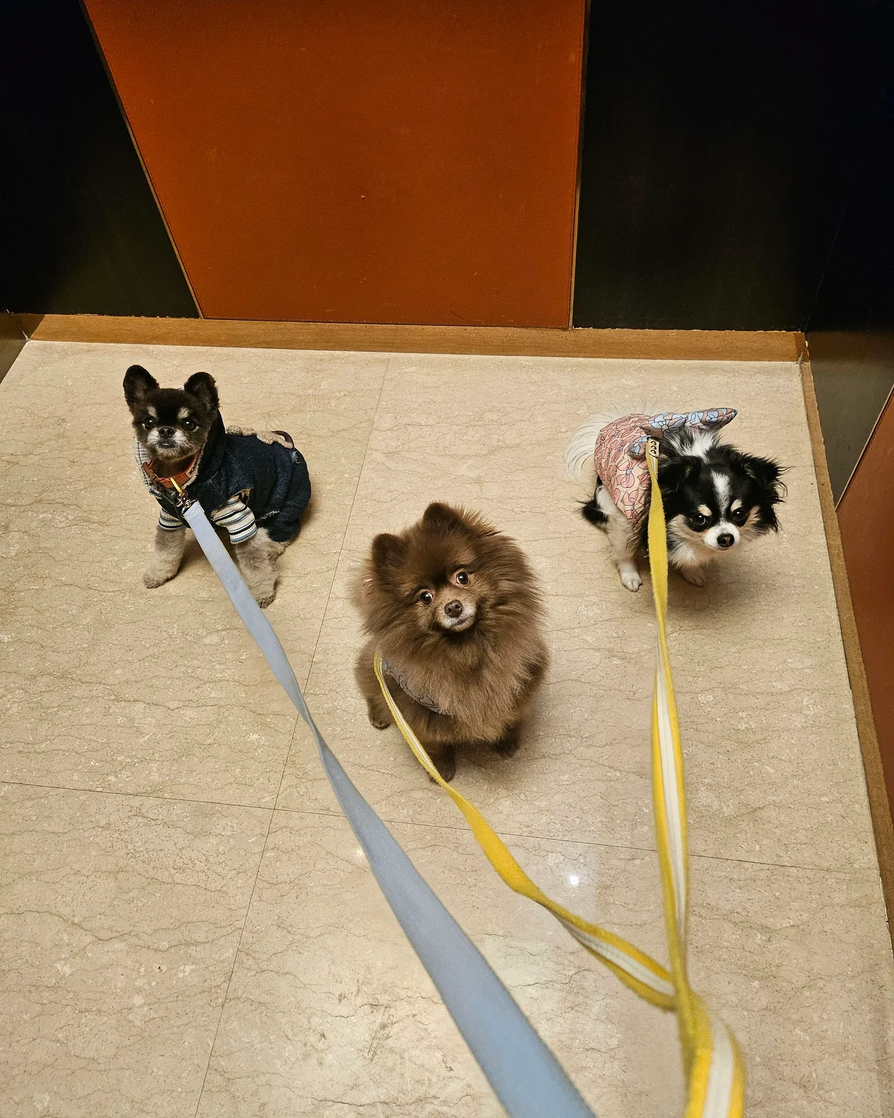 리뷰 사진 2
