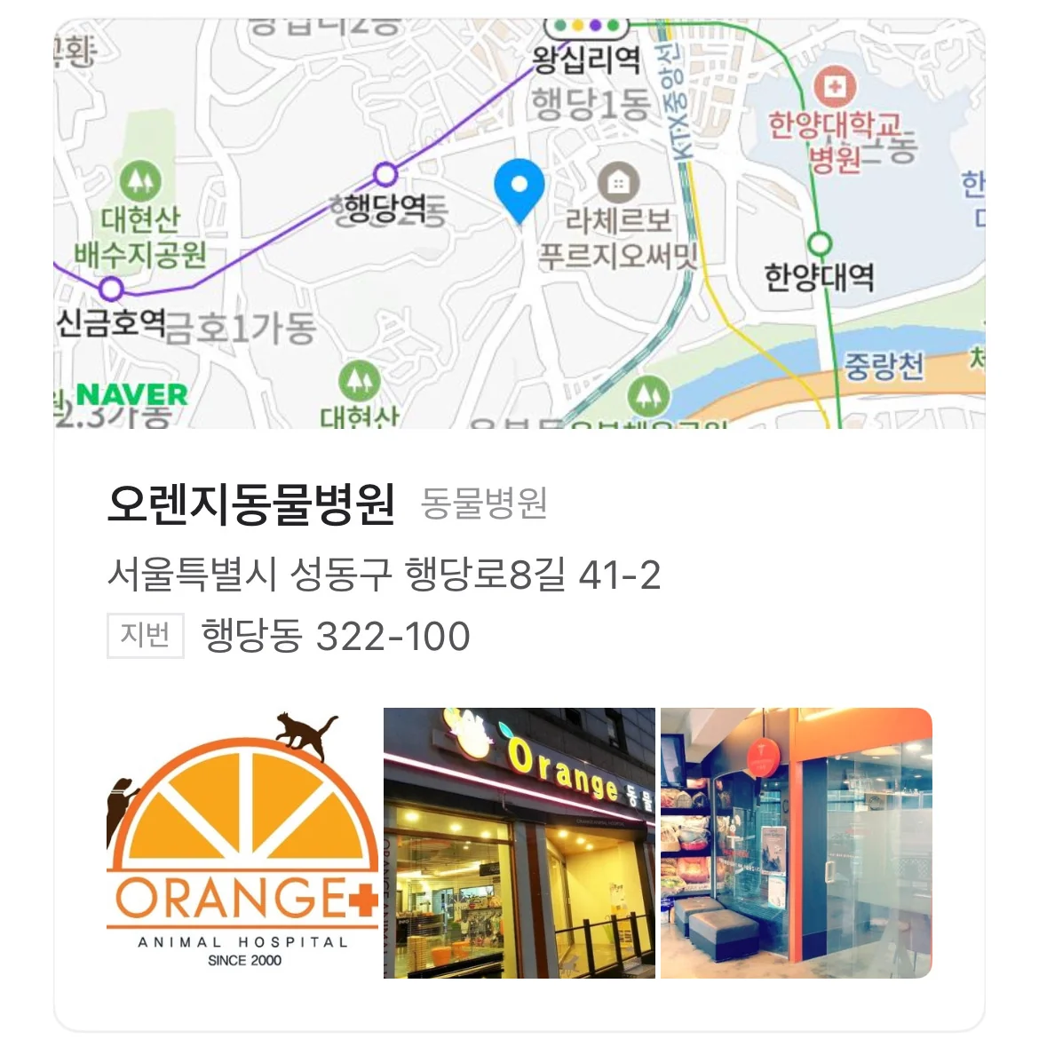 오렌지동물병원 사진 2