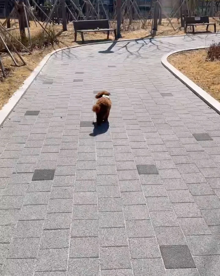 리뷰 사진 1