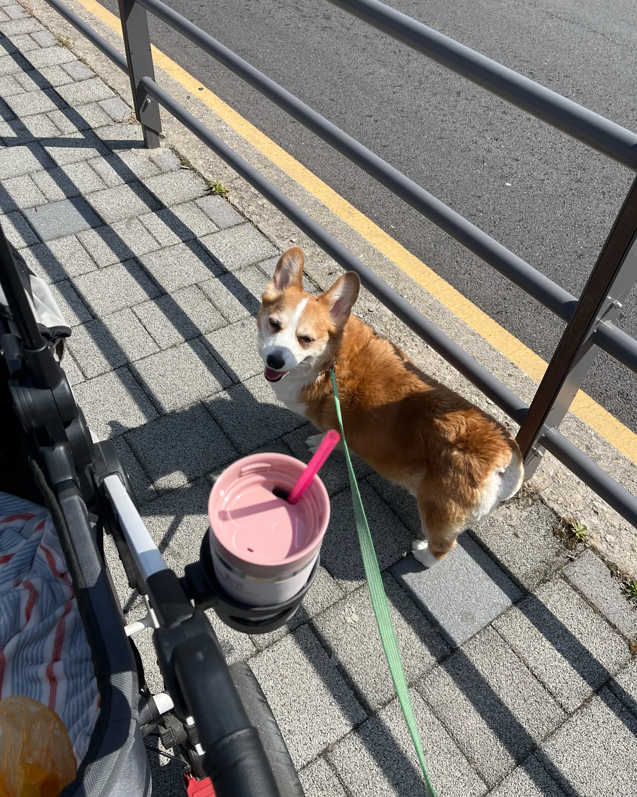 리뷰 사진 3
