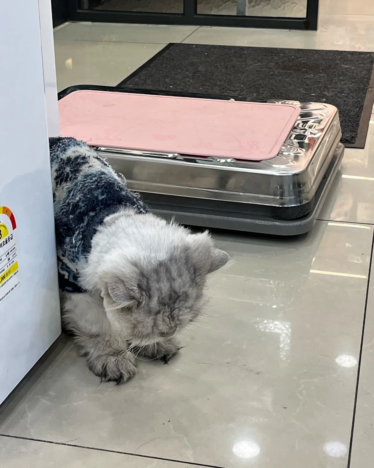 리뷰 사진 2