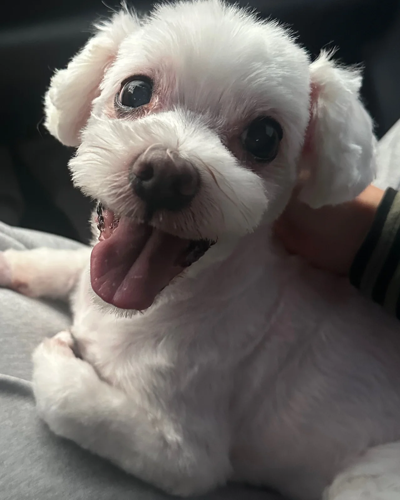 리뷰 사진 2