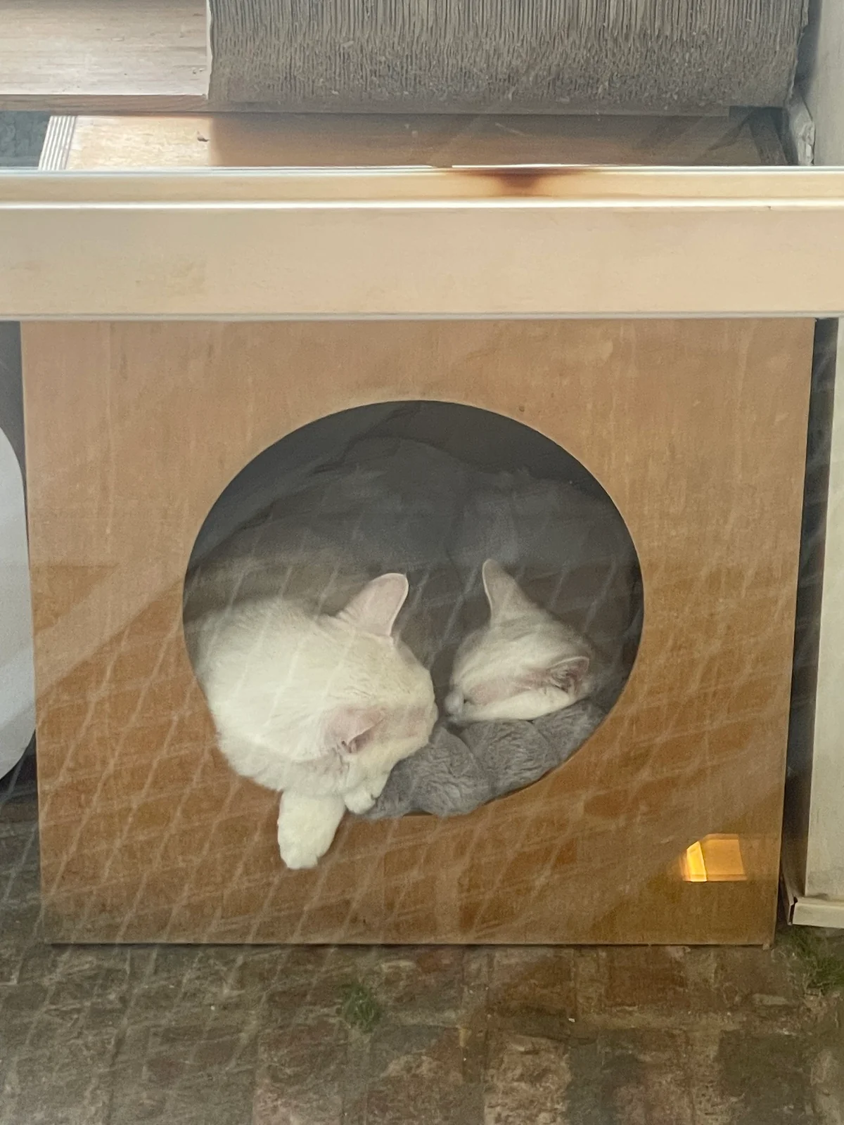 리뷰 사진 1