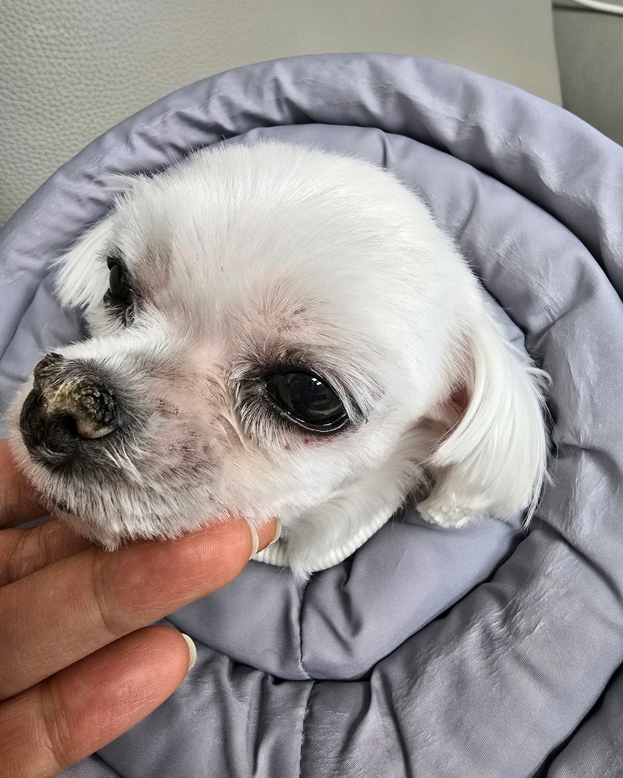 리뷰 사진 4