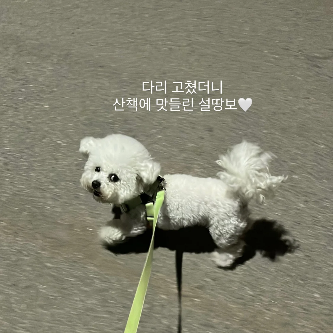 리뷰 사진 2