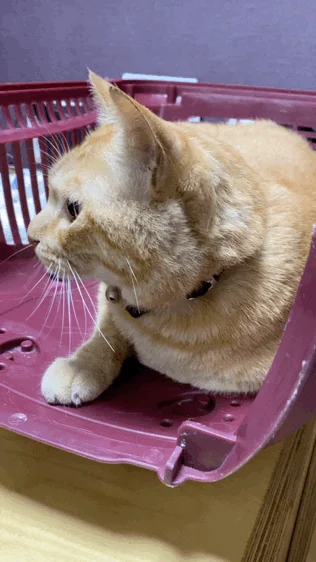 기린동물병원 사진 2