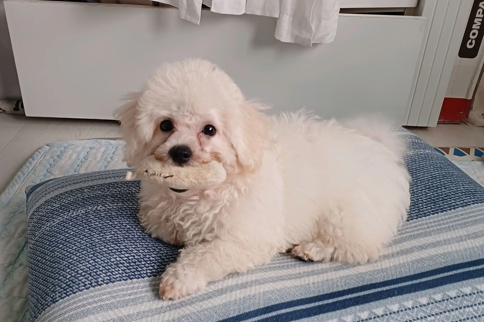 리뷰 사진 1