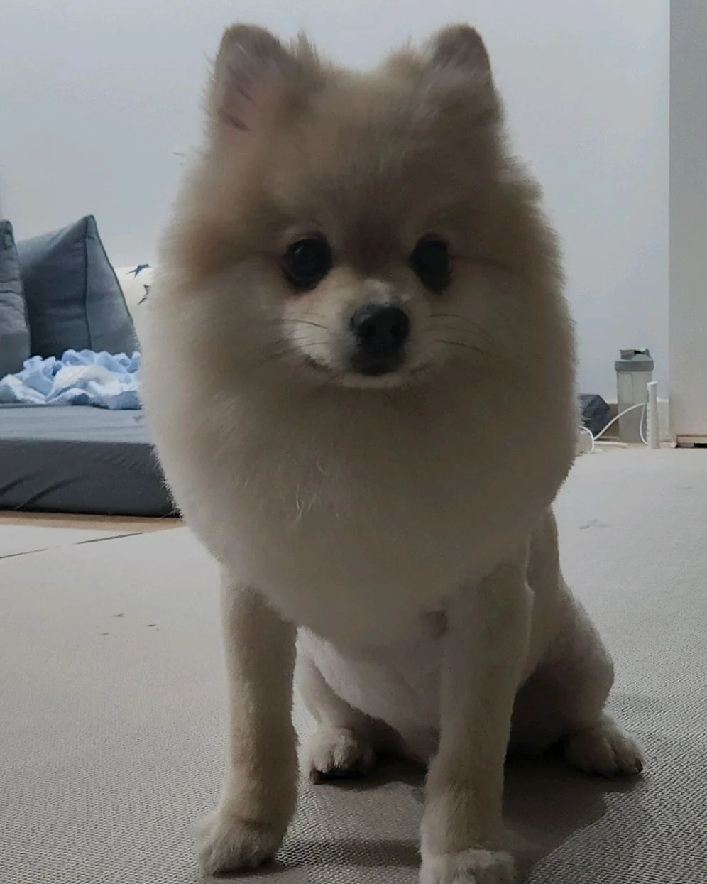 리뷰 사진 1