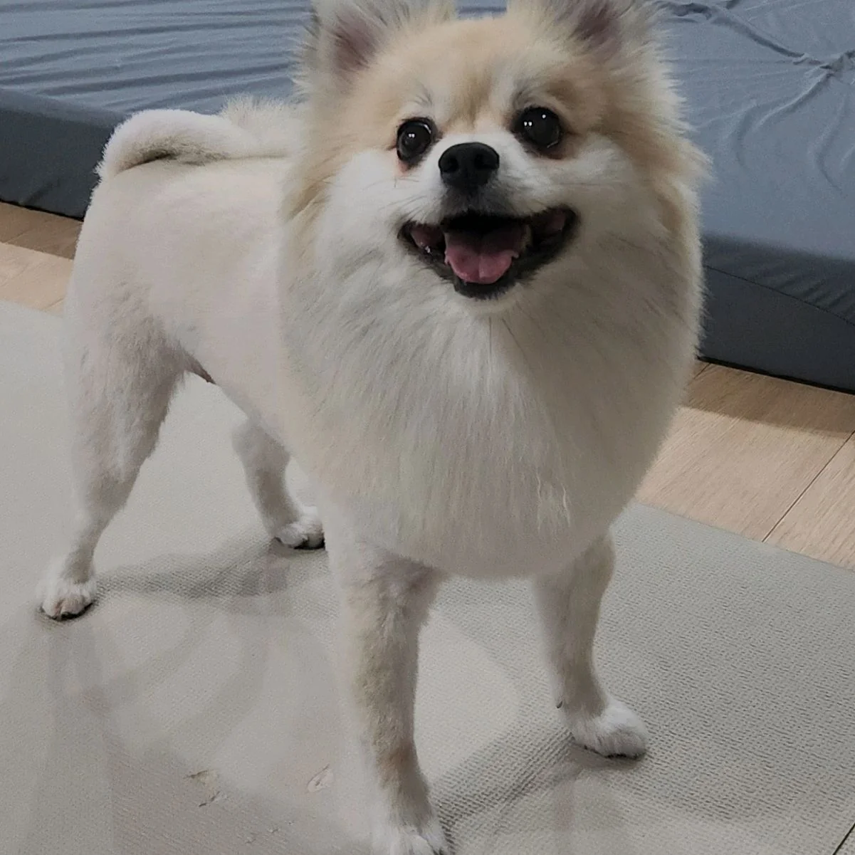 리뷰 사진 2