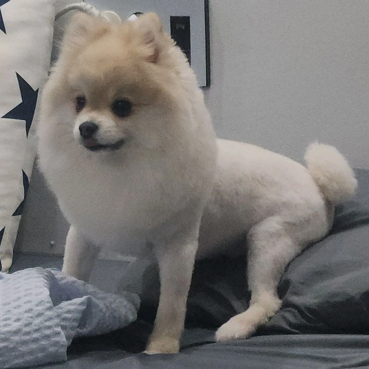 리뷰 사진 3