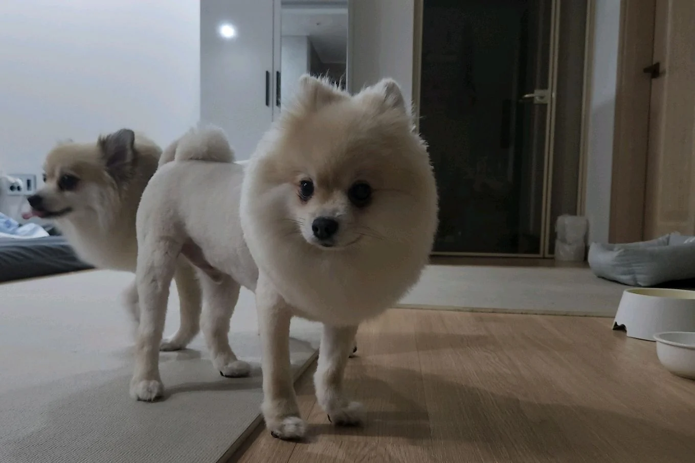 리뷰 사진 4