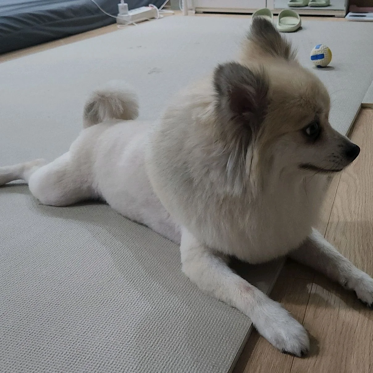 리뷰 사진 5