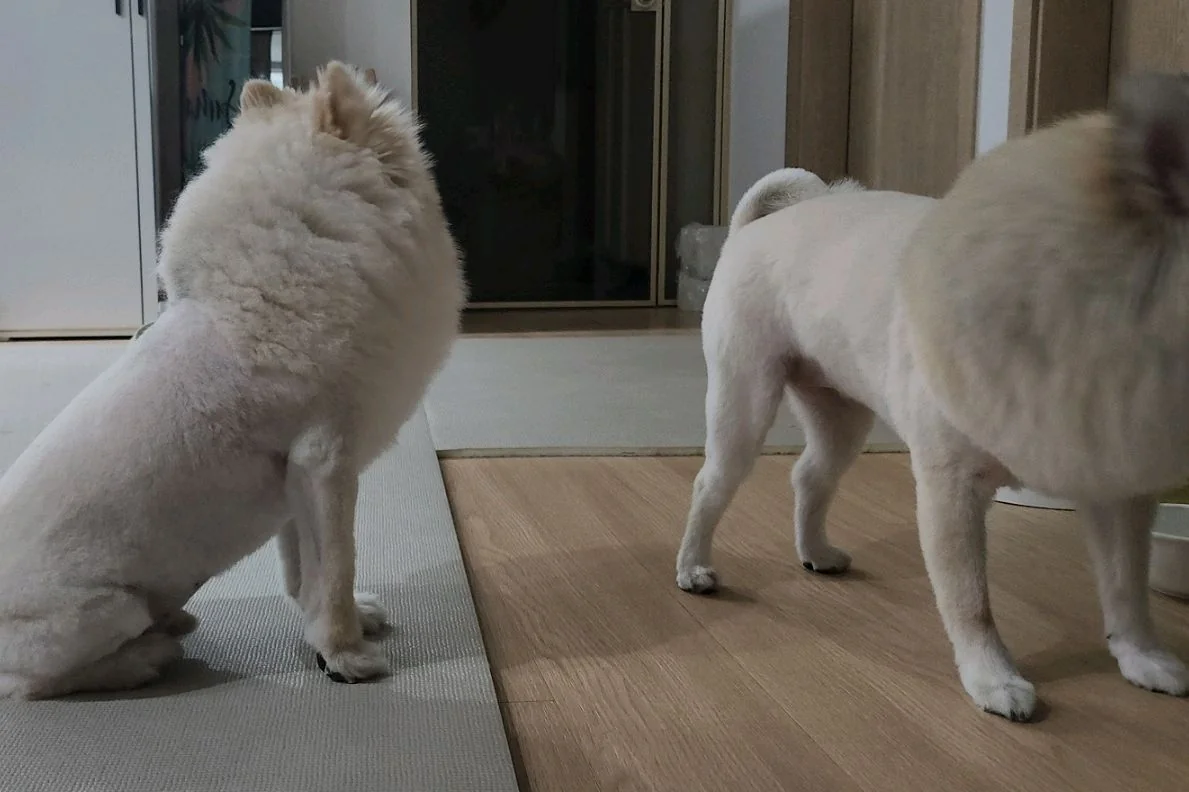 리뷰 사진 6