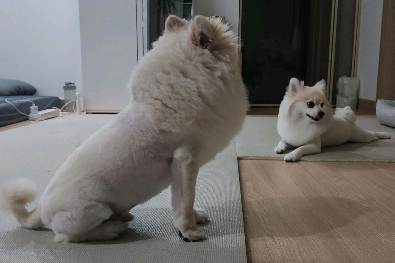 리뷰 사진 7