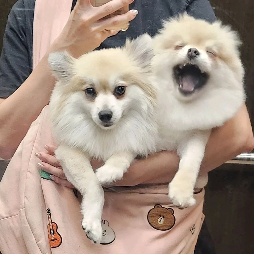 리뷰 사진 8
