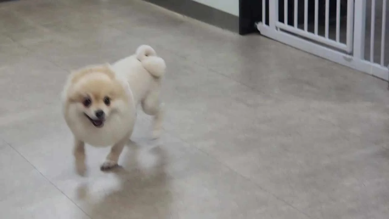 리뷰 사진 9