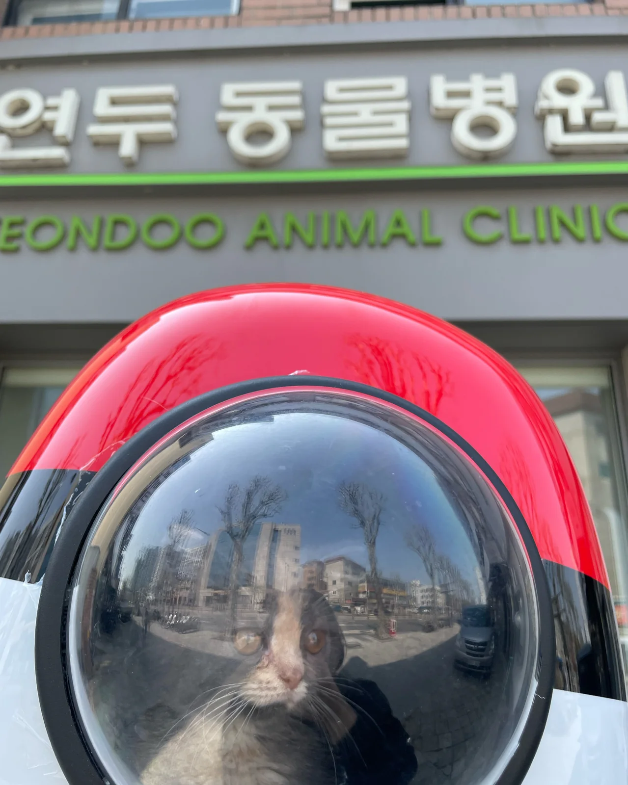 리뷰 사진 2
