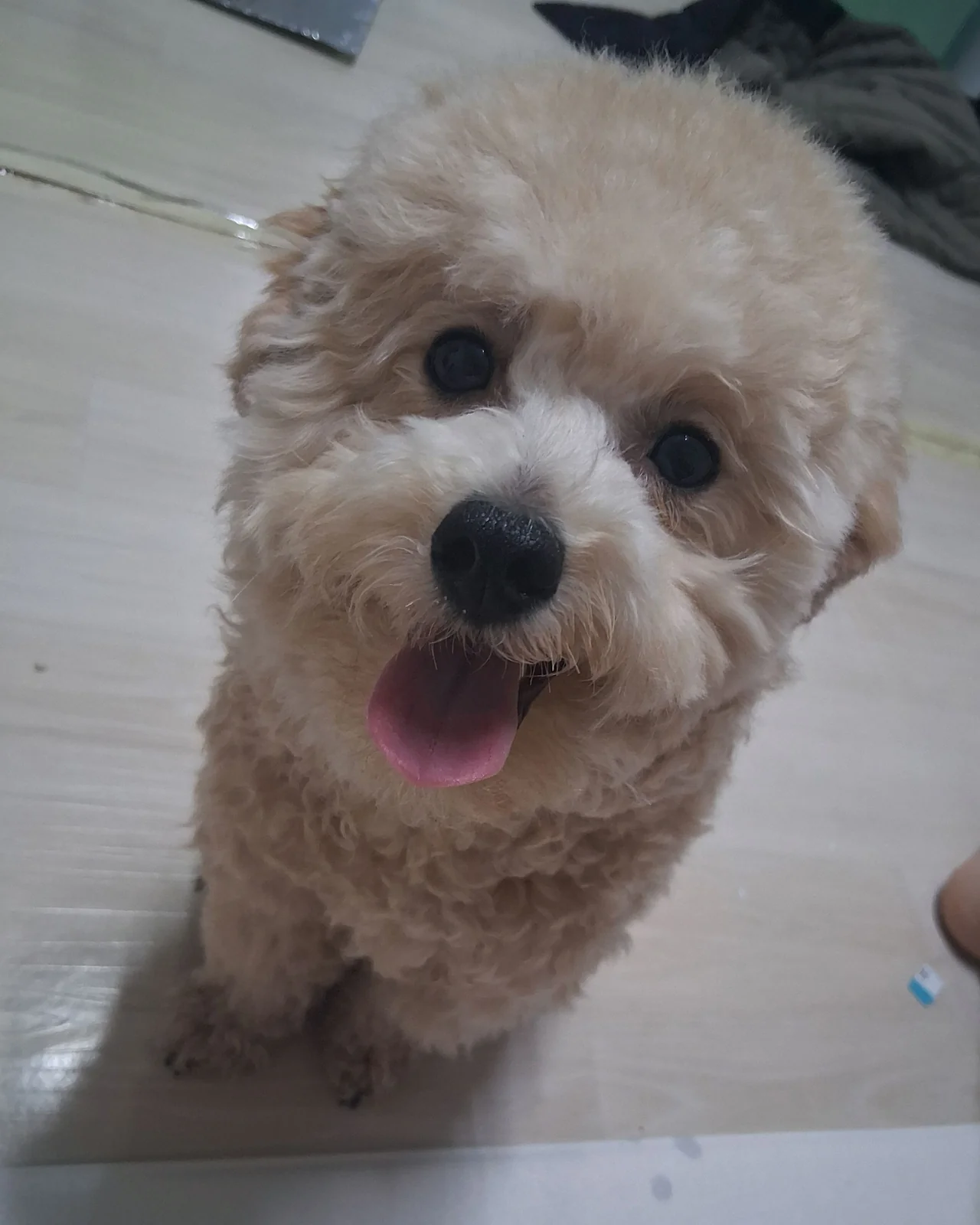 리뷰 사진 1