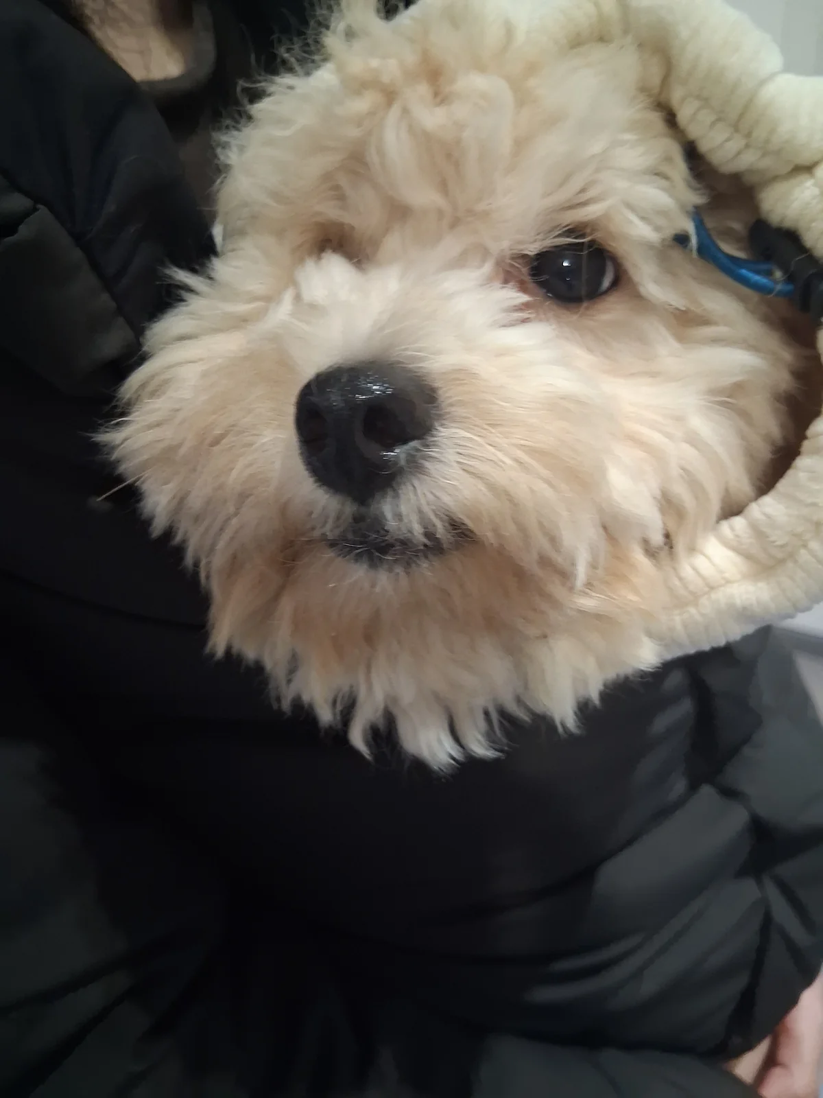 리뷰 사진 1