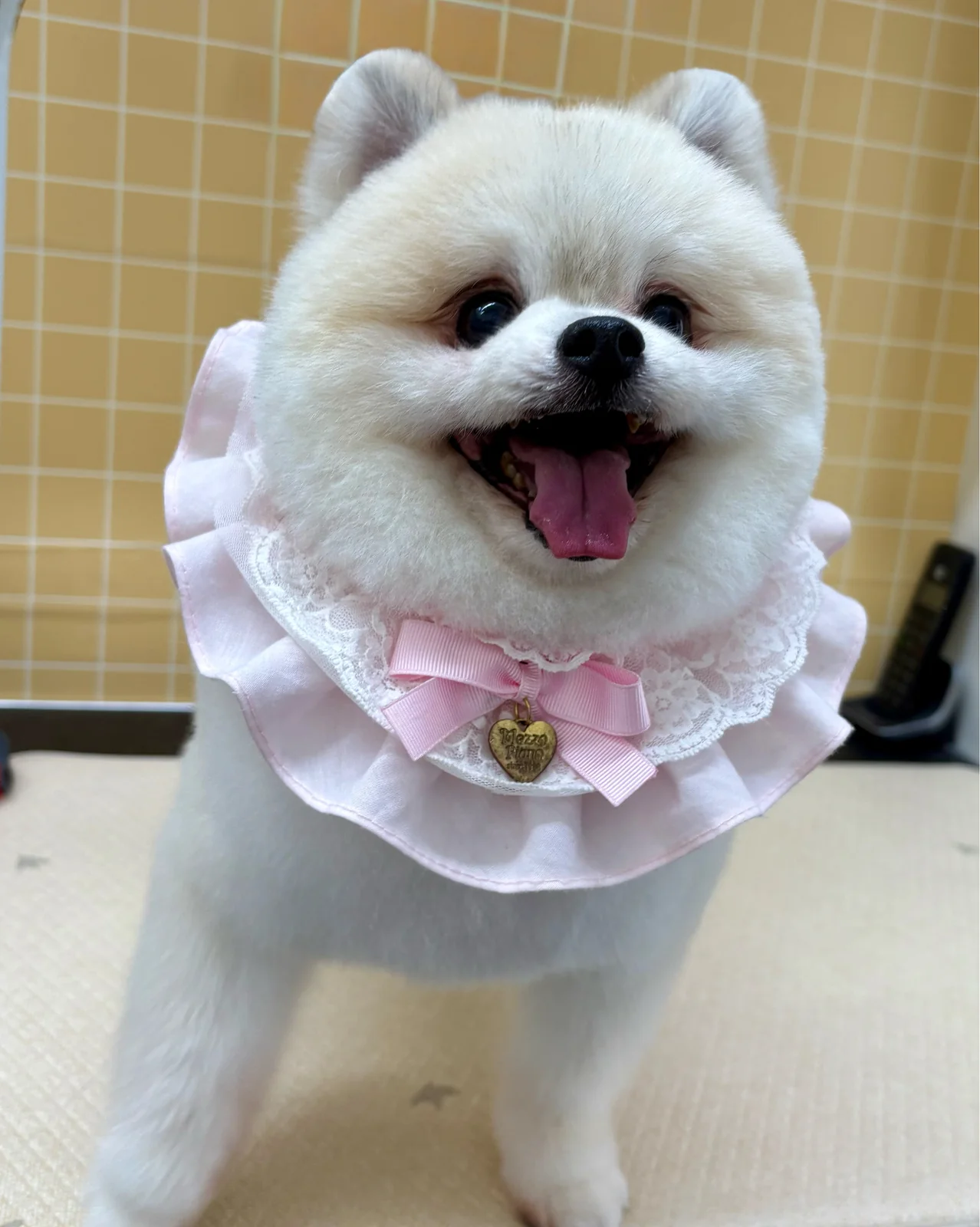 리뷰 사진 1