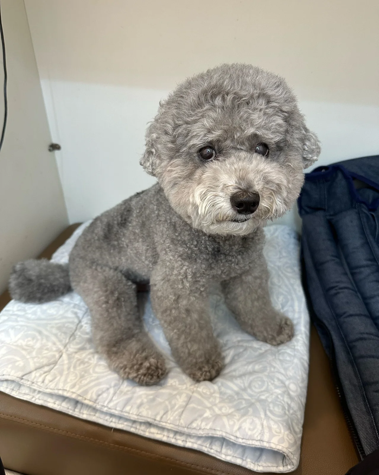 리뷰 사진 1