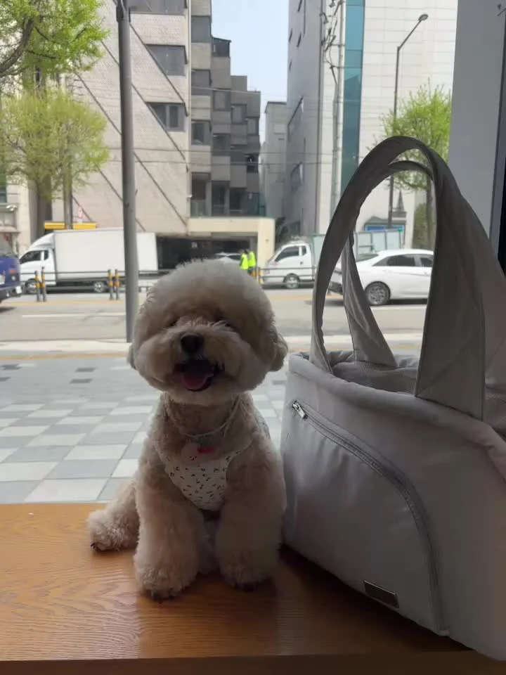 리뷰 사진 1