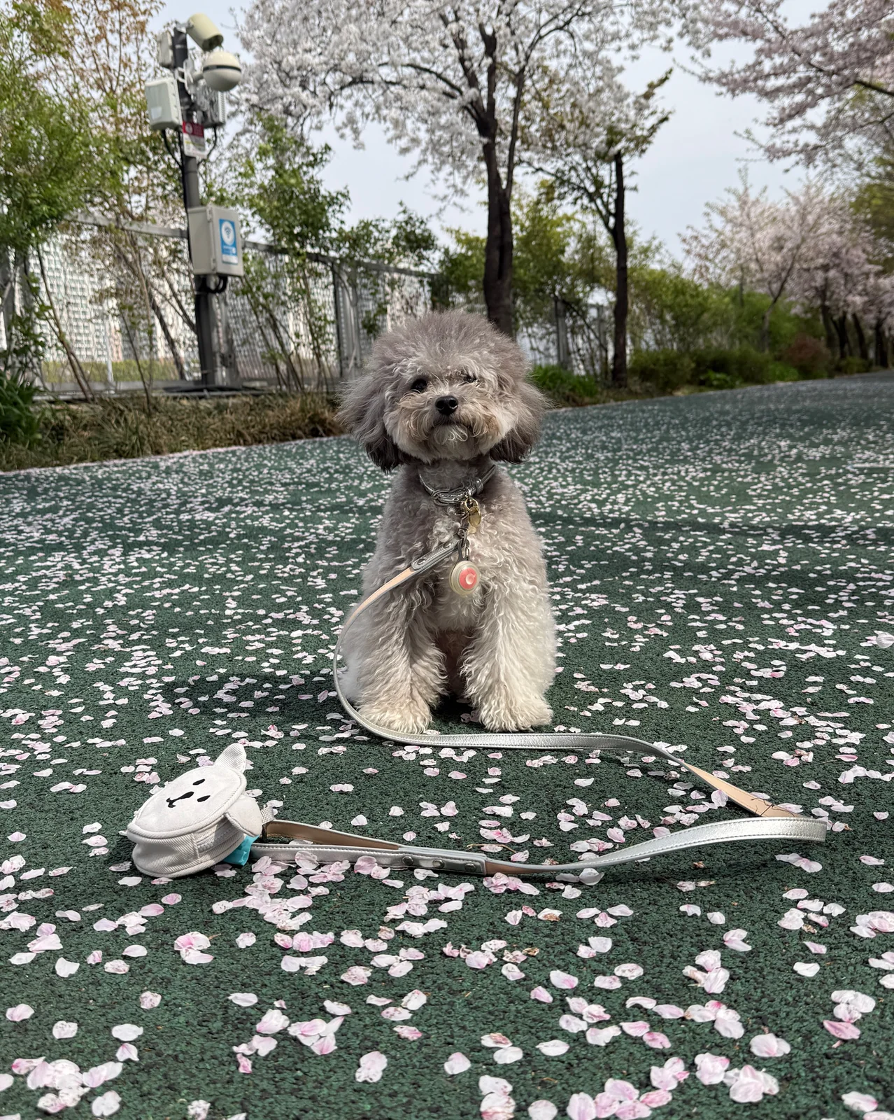 리뷰 사진 1