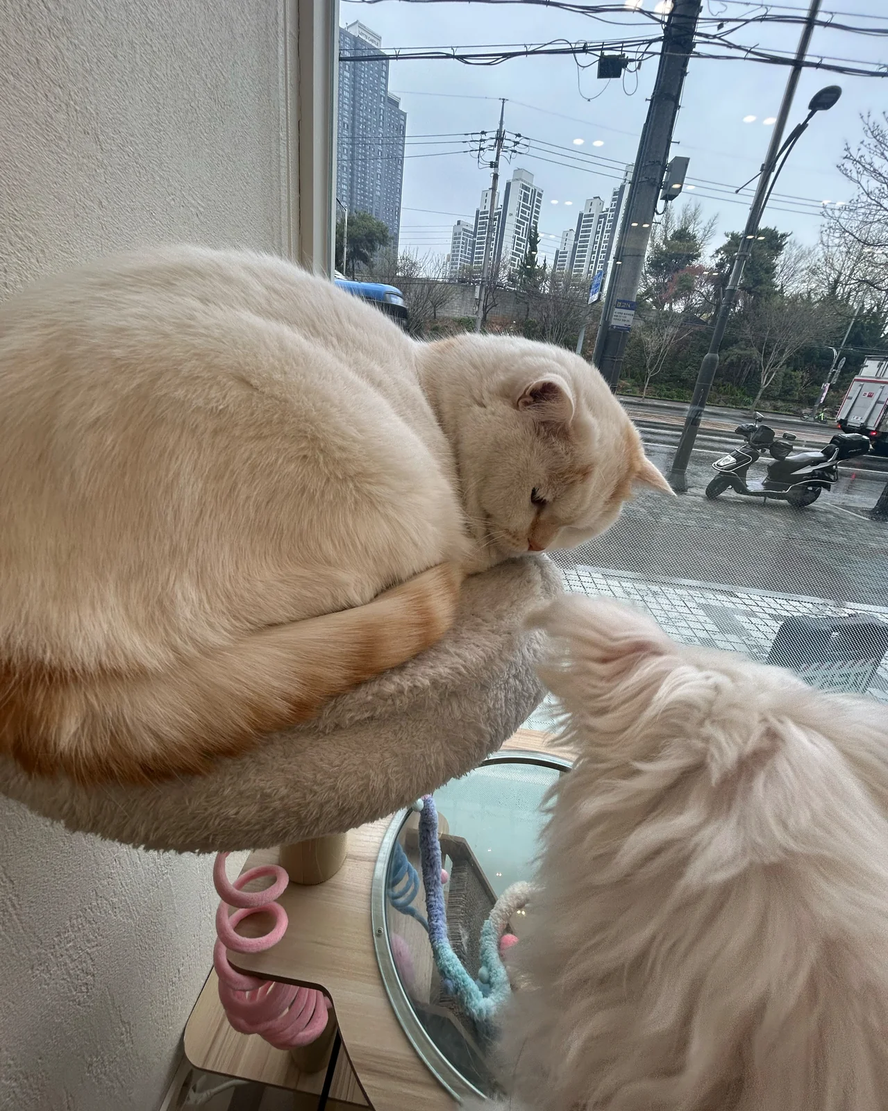 리뷰 사진 2