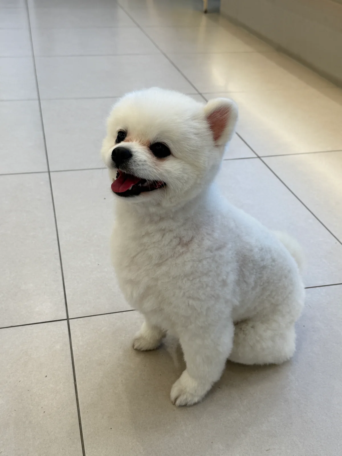 리뷰 사진 1