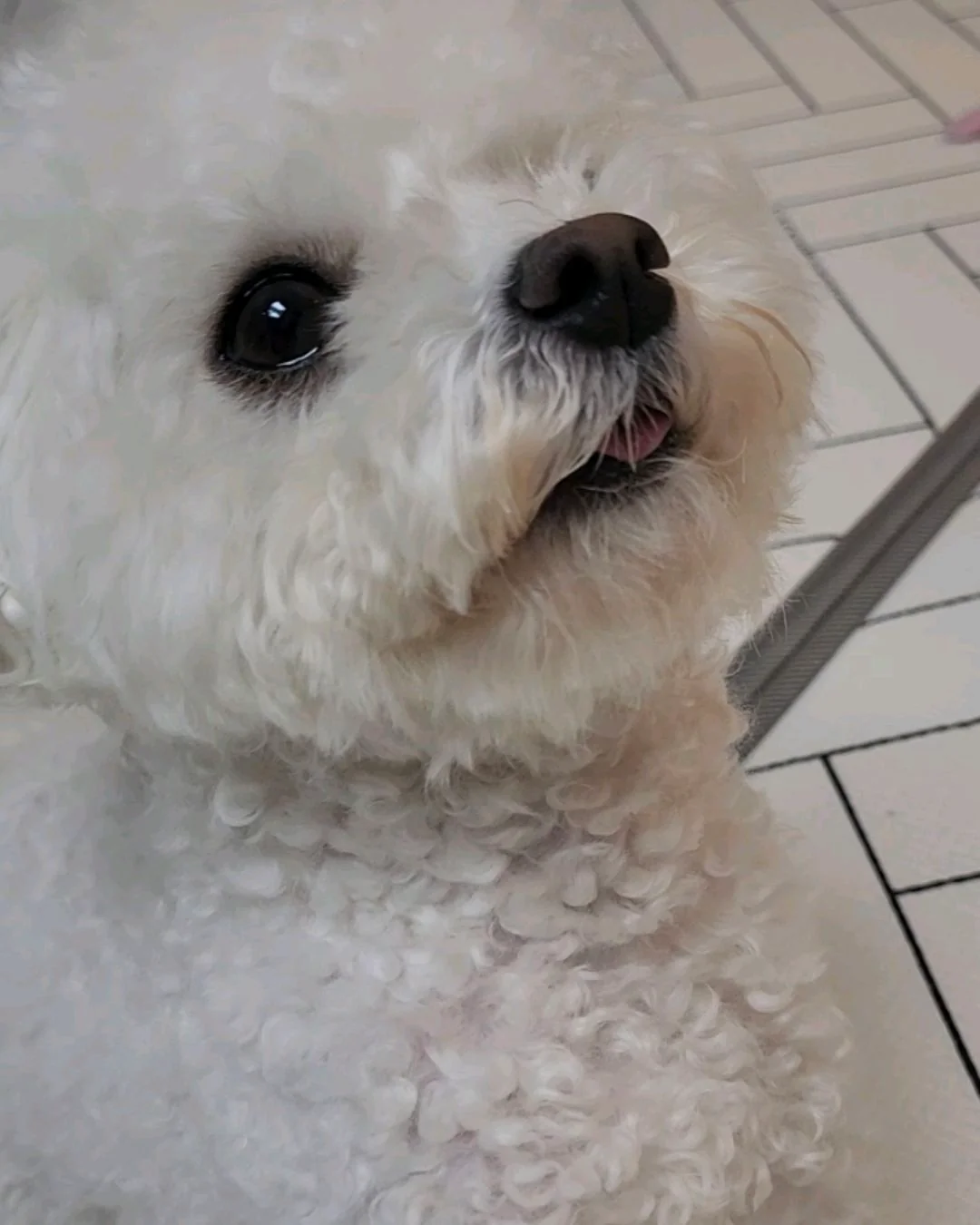 리뷰 사진 1