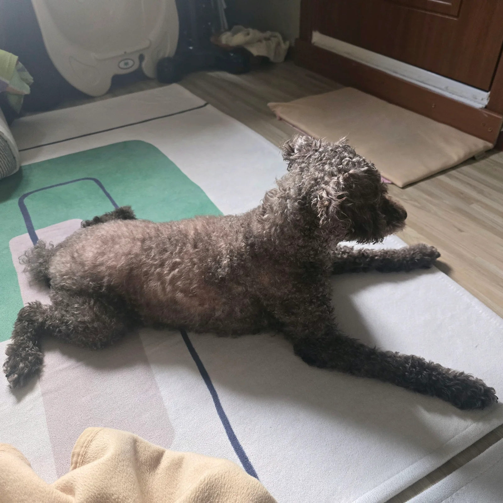 리뷰 사진 1