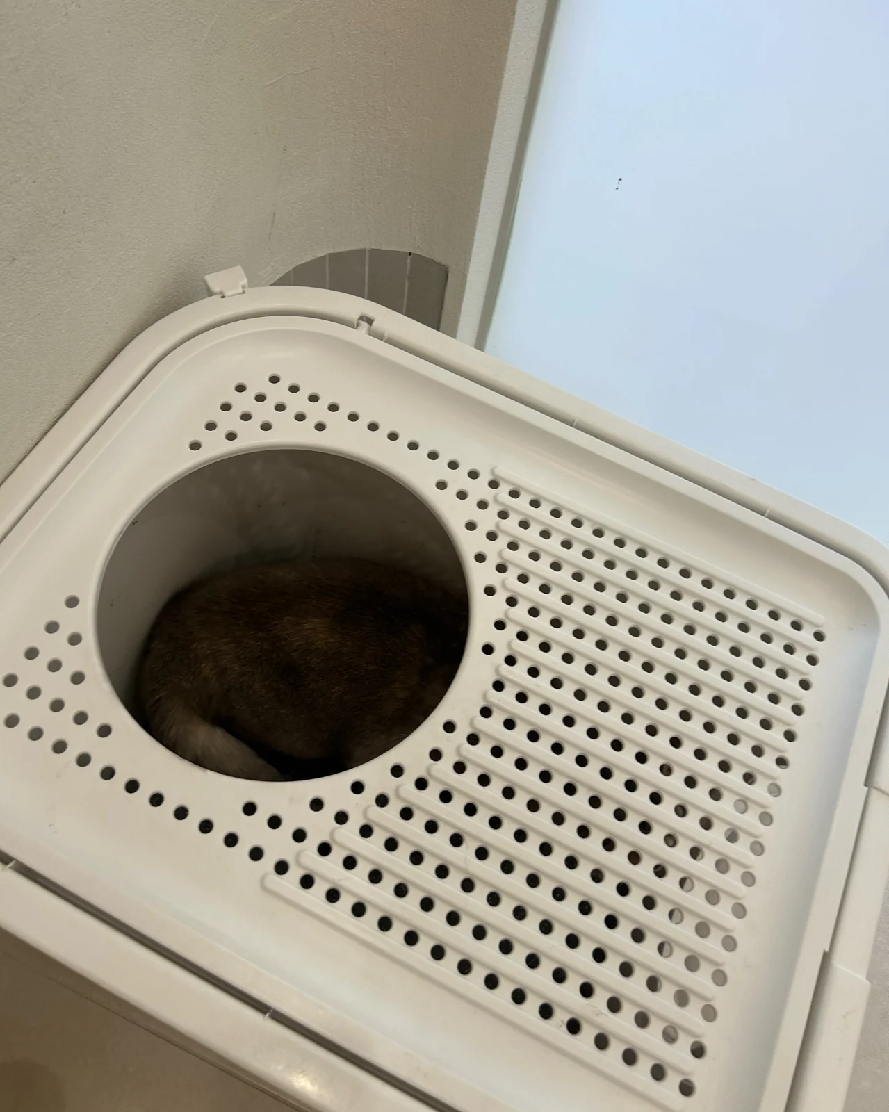 리뷰 사진 2